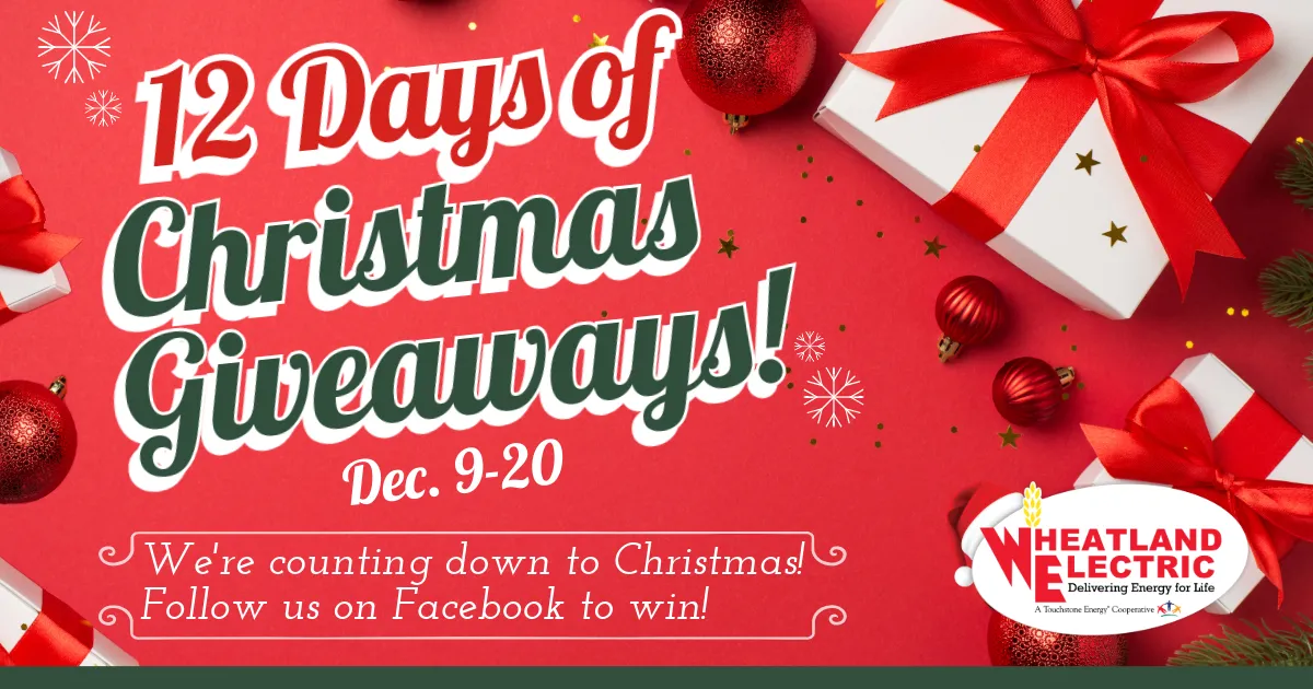 12 Days of Christmas Giveaways