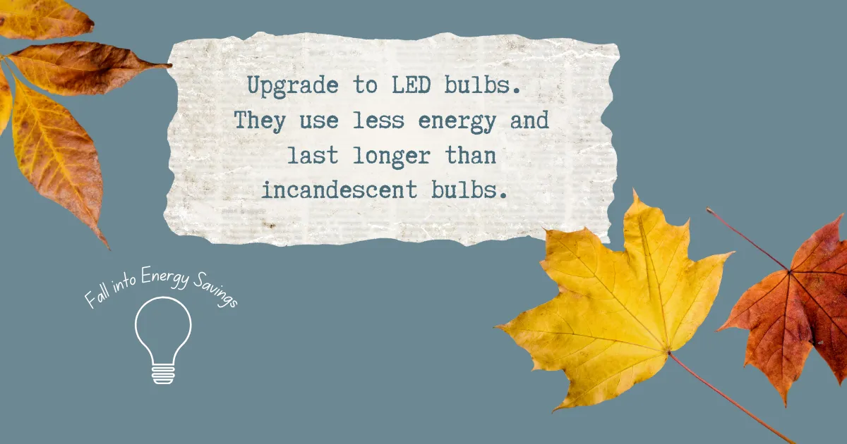 Fall Savings